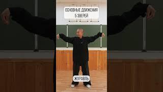 5 зверей Шаолиня: базовые движения рук #цигун #shorts  #kungfu