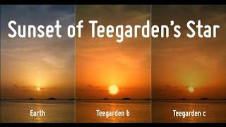 Teegarden B