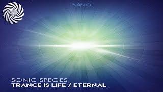 Sonic Species - Eternal