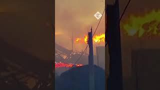 Wildfires whip through in Chile destroying homes and farmland