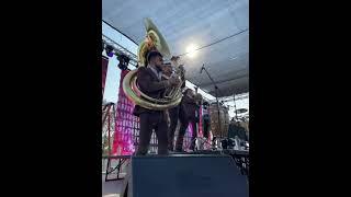 Edy Moreno Tuba - LA VAQUITA