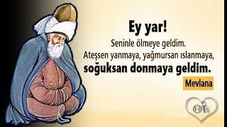 Mevlana Sözleri  ( Dinleyin İlaç Gibi )  Eğriyi kendinde arayan,  Doğruyu kendinde bulur...!!!