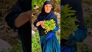 Village women in the mountains #mountains #nature #nomadic #village