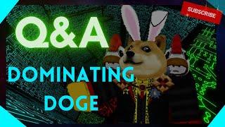 Q and A Questions (dominatingdoge)