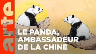 La diplomatie du panda (1/2) | ARTE