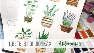 АКВАРЕЛЬ. Рисуем комнатные цветы в горшочках