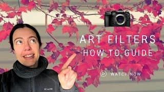 How to set up the ART filter on your camera