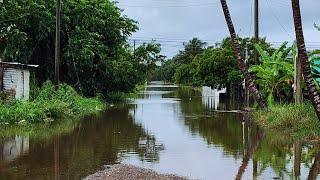 Tropical Storm  Nadine- Corozal, Belize, After its Passing.