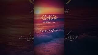 Quran education #islamicstatus #deeneislam #quranpak #pakistan  @Quraneducation321