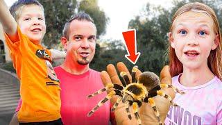 We Get a New Pet Tarantula!!!