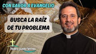 Busca la raíz de tu problema | Padre Pedro Justo Berrío