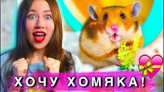 СЕКРЕТЫ КАК УГОВОРИТЬ РОДИТЕЛЕЙ ЗАВЕСТИ ХОМЯКА | Elli Di Pets