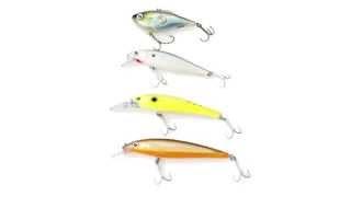 Modern Fishing Rapala Lures Video