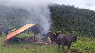 Nepali Rural Village Life in Rainy Day | Most peaceful And Relaxing Mountain Village Life |