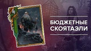 Гвинт - гайд по бюджетной колоде #1. Брувер Гоог!