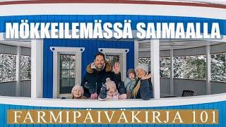 Mökkeilemässä Saimaalla  / FARMIPÄIVÄKIRJA JAKSO 101