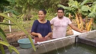 Hechos del Agro - Esposos productores de tilapia