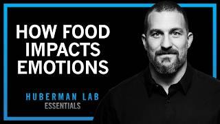 How Foods & Nutrients Control Our Moods | Huberman Lab Essentials