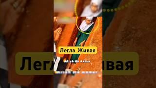 Она Сама Легла в Могилу… Ради Аллаха — Узнай Почему! #shotrs
