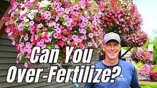 Can You Over-Fertilize? #fertilizing #fertilizer #plantfood