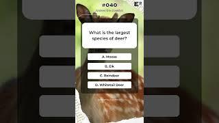 #040  What is the largest species of deer? #shorts