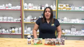 Frontline Plus for Dogs