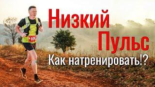 Как натренировать Низкий Пульс в беге?