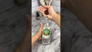 Put Cloves in Vinegar and You’ll Never Stop Doing This!  #cleaning #homehacks