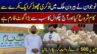 Success Story Of Goat Farmer Majid Shabir | Chakwal Goat Farm | MYK News TV