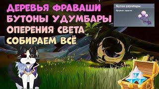 Дерево Фраваши | Бутон Удумбары | Оперенье Очищающего Света Собираем Геншин Импакт Сундуки 3.6