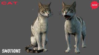 cat animals Iclone 8 used with free download pack