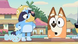 No más Dobbing | Escuela de natación | Bluey Español Canal Oficial