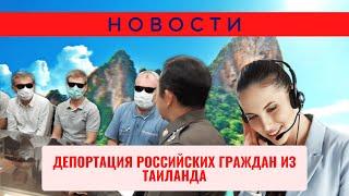 Thailand Pass песочница на Самуи и Пангане, депортация российских граждан из Таиланда | Новости #13