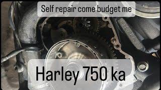 #harley 750 ka self repair come budget may ￼￼