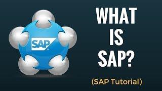 What is SAP? Why do we need ERP? Beginner Tutorial