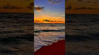 Lost in sunset dreams.   #goldenmoments #sunsetdreams #goldenhourphotography #naturephotography