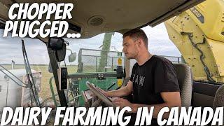 I Brutally Plugged This Chopper!