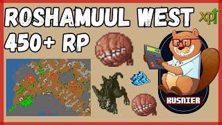 Roshamuul West | 450+ Paladin | Tibia