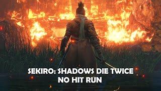 Sekiro No Hit Run - Shura Ending in 47:48