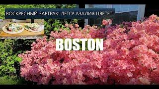 НАШ ДОМ.Влог из США.Воскресный завтрак!Лето! Азалия цветет! Sunday breakfast! Summer! Azalea blooms!