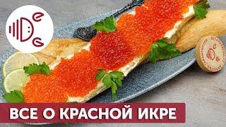 Чем отличается красная икра разных рыб?