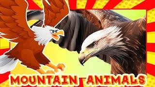 MOUNTAINS ANIMALS  Names & Sounds  FlashCard & Real Animal Videos | Kids & Toddlers Learning Video