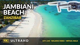 Jambiani Zanzibar 4K ️ Cinematic Drone Footage - 2021