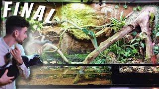 XXL BASILISK PALUDARIUM | LEO MOVES IN | PART THREE | TERRAQUAMAN