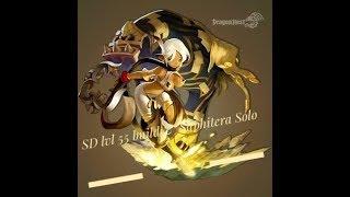 Dragon Nest M (SEA) - Spirit Dancer solo Saphitera Hell (zero mistake), and lvl55 ex skill + build