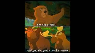 brother bear