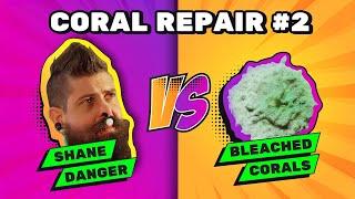 Coral Repairing, Damaged Coral, Moving Coral | Feat. Shane Danger