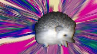 ЕЖИК ЧИХАЕТ [HEDGEHOG SNEEZES]