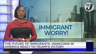 The Future of Immigrants: Jamaicans in America React to Trump's Victory | TVJ News