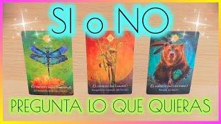 Tarot SI o NO PREGUNTA LO QUE QUIERAS! Elige una Carta Tarot Interactivo